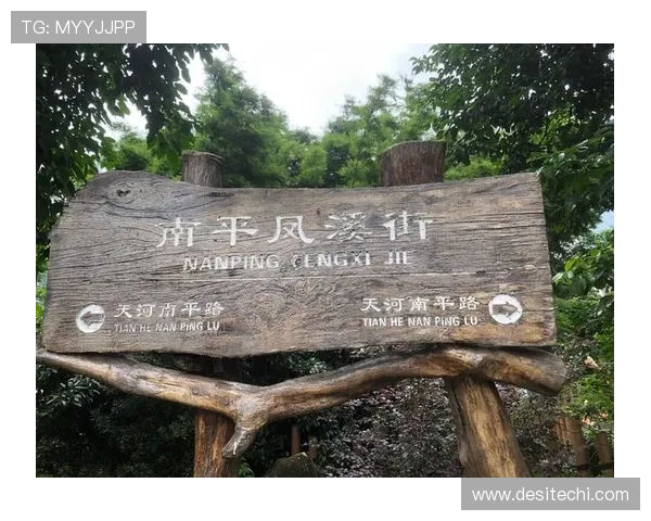 全面解析J9官网游会入口的最新登录方式与安全保障措施